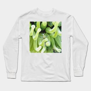 Spotted Cleaner Shrimp posing on Giant Green Sea Anemone Long Sleeve T-Shirt